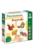 Przyroda. Montessori. Karty sensoryczne. Kapitan Nauka