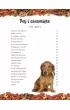 Odkrywanie �wiata. Psy i szczeni�ta