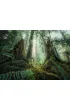Puzzle 1000 el. Lasy Ravensburger