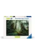 Puzzle 1000 el. Lasy Ravensburger