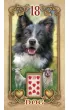 Lustrous Lenormand