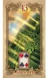 Lustrous Lenormand