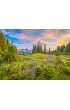 Puzzle 2000 el. Blossoms of Morning Castorland