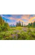 Puzzle 2000 el. Blossoms of Morning Castorland