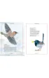 Ilustrowany inwentarz ptak�w