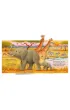 Pop-Up Animals. Pop-Up Book