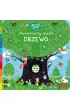 Drzewo. Akademia mdrego dziecka. Niesamowity spacer