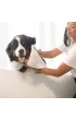Attitude Furry Friends, Dezodoryzuj�cy szampon dla zwierz�t domowych