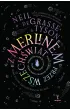 Z Merlinem przez wszechświat. Planety, gwiazdy, galaktyki, czarne dziury – kosmiczna podróż aż po krańce poznania – Neil deGrasse Tyson – okładka ebook