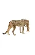 Figurka Gepard z m�odym