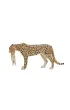 Figurka Gepard z m�odym