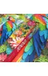 Puzzle 1000 CherryPazzi A Miracle of Colour� 31520