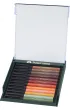 Faber-Castell Pisaki Pitt Artist Pen Brush Earth 12 szt.