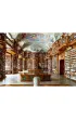 Puzzle 1000 el. 2D Biblioteka Ravensburger