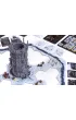 Frostpunk