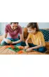 Smart Games. Smoczy Ogie� (PL) IUVI Games