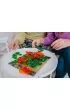 Smart Games. Smoczy Ogie� (PL) IUVI Games