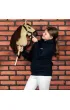 Hobby Horse Skippi. Ko� na kiju karmel