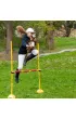 Hobby Horse Skippi. Ko� na kiju karmel
