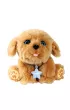 Little Live Pets Tulu� Cobi