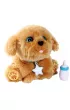 Little Live Pets Tulu� Cobi