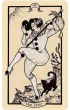 Fyodor Pavlov Tarot, karty do wr�enia, edycja ameryka�ska
