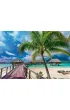 Puzzle 1000 el. Paradise Beach, Bora-Bora Trefl
