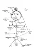 Obrzydliwa anatomia