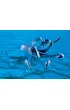 Playmobil Pirates Kalendarz adwentowy Piraci 71636