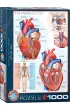Puzzle 1000 el. The Heart Eurographics