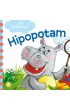 Hipopotam