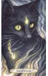 Soul Cats Tarot, karty do wr�enia