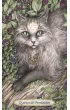 Soul Cats Tarot, karty do wr�enia