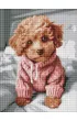 Ideyka Diamentowa mozaika - Magiczny Maltipoo 30x40cm
