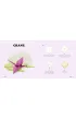 Easy Origami Birds. 400 Pages Ready to Fold with 10 Step-by-Step Tutorials