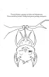 Zwierz�ta �wiata. Koloruj i naklejaj