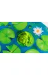 Smart Games. Froggit (ENG) IUVI Games