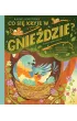Co si� kryje w gnie�dzie? Fascynuj�ce ciekawostki o ptakach