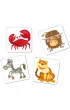 Kuferek pe�en gier. Memory Zoo Adamigo