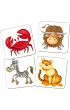 Kuferek pe�en gier. Memory Zoo Adamigo