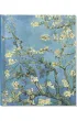 Notatnik Du�y Kwiat Migda�u Vincent van Gogh Peter Pauper Press