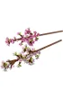 LEGO Botanicals Kwiaty wi�ni 40725