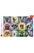 Puzzle 1000 el. Zabawne psie portrety Trefl