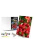 Qbee Malowanie po numerach - S�odka truskawka 30x40cm