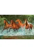 Puzzle 300 el. Galopuj�ce konie Castorland