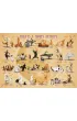 Puzzle 500 el. Joga Eurographics