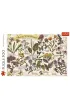 Puzzle 500 el. Zielnik: Zio�a lecznicze Trefl