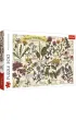 Puzzle 500 el. Zielnik: Zio�a lecznicze Trefl