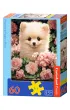 Puzzle 60 el. Pomeranian Puppy in Roses Castorland