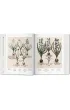 Basilius Besler. Florilegium. The Book of Plants wer. angielska